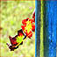 FOTO GALLERY "VERDERAME"