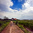 GIRO IN BICI AL CAVALLINO - 2012