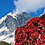 GIRO IN BICI , CALALZO CORTINA - 2 OTTOBRE 2011 -