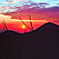 TRAMONTO 1999 A FAEDO - ALBA 2000 A SOTTOMARINA