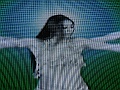 DSCN0530