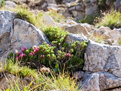 2013-09-21 '52° GALLERIE DEL MONTE PASUBIO'   030