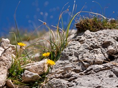 2013-09-21 '52° GALLERIE DEL MONTE PASUBIO'   031