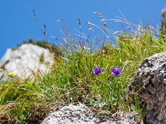 2013-09-21 '52° GALLERIE DEL MONTE PASUBIO'   036