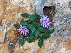 2013-09-21 '52° GALLERIE DEL MONTE PASUBIO'   037