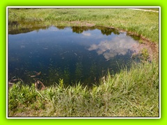 Cerkniško jezero (10)