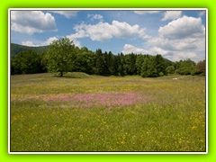 Cerkniško jezero (12)