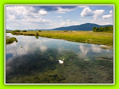 Cerkniško jezero (43)