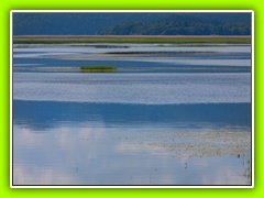 Cerkniško jezero (5)