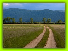 Cerkniško jezero (51)