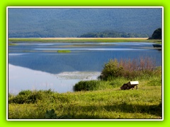 Cerkniško jezero (52)