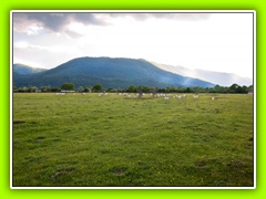 Cerkniško jezero (55)