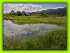 Cerkniško jezero (7)