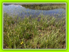 Cerkniško jezero (9)