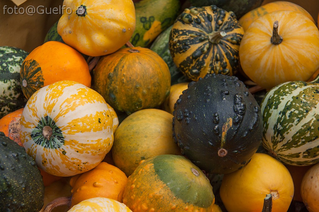 I COLORI DELLA NATURA - LAMON - 21-9-2014    (04)