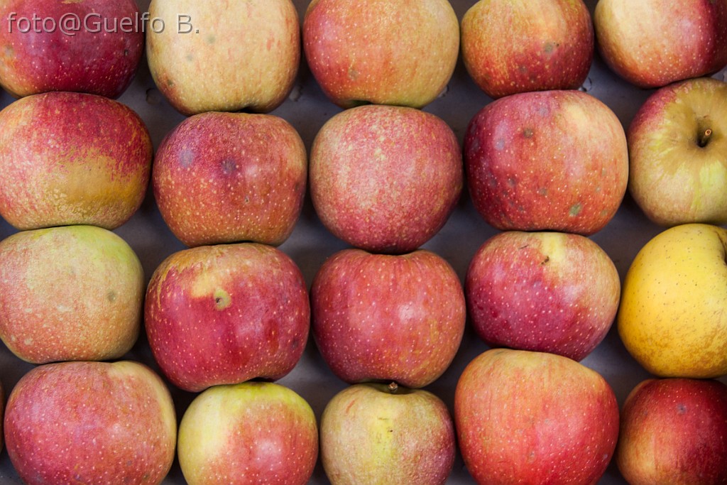 I COLORI DELLA NATURA - LAMON - 21-9-2014    (06)