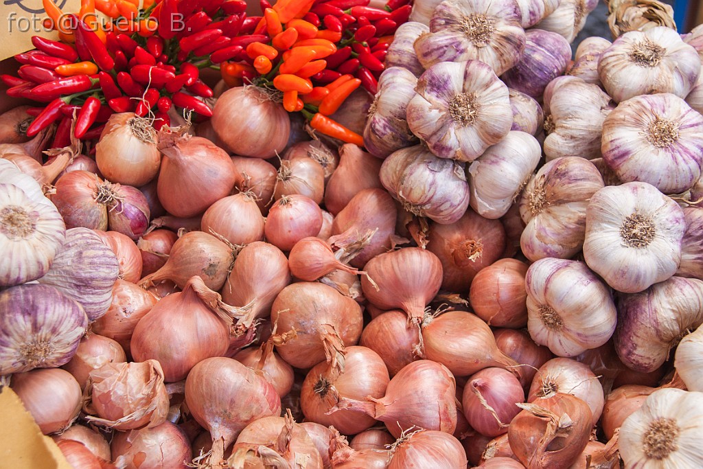 I COLORI DELLA NATURA - LAMON - 21-9-2014    (07)