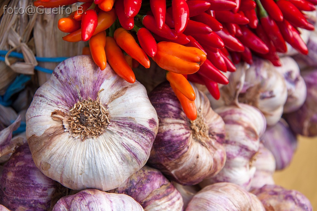 I COLORI DELLA NATURA - LAMON - 21-9-2014    (11)