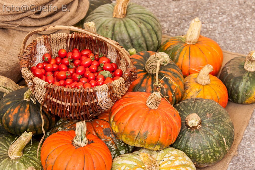 I COLORI DELLA NATURA - LAMON - 21-9-2014    (24)