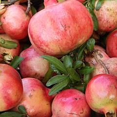 I COLORI DELLA NATURA - LAMON - 21-9-2014 (05)