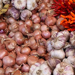 I COLORI DELLA NATURA - LAMON - 21-9-2014 (09)