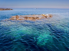 LINOSA 2012 - 031