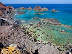 LINOSA 2012 - 062