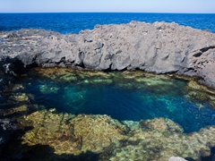 LINOSA 2012 - 077