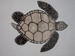 LINOSA 2012 - 087