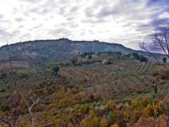 01-11-2011 PAESAGGIO TOSCANO 0004