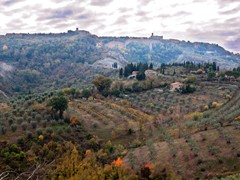 01-11-2011 PAESAGGIO TOSCANO 0005