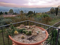 31-10-2011 VOLTERRA    0004