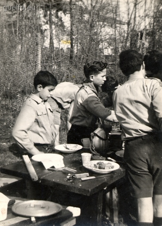 1966 - ATTIVITA