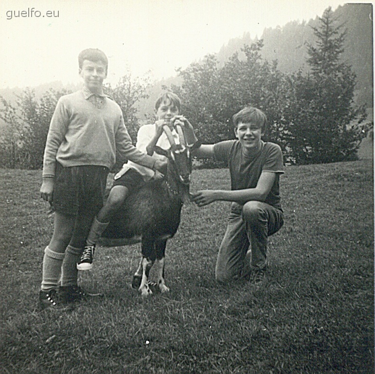 1970 - PIERENI - VALERIO VANNI ANDREA