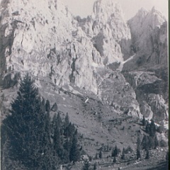 1953-1960 - PRIMI CAMPI ESTIVI