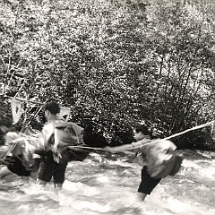 1965 - CAMPO A GARES (1)