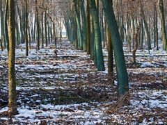 09-12-2012 PASSEGGIATA FUORI CASA     006