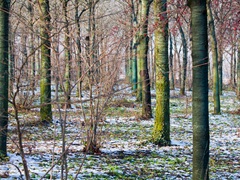 09-12-2012 PASSEGGIATA FUORI CASA     012