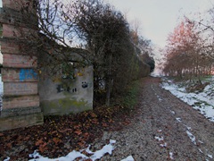 09-12-2012 PASSEGGIATA FUORI CASA     023
