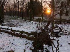 09-12-2012 PASSEGGIATA FUORI CASA     027