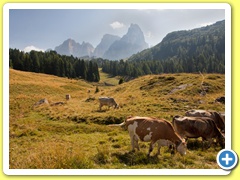 laghetti di colbricon 28-08-2012      07