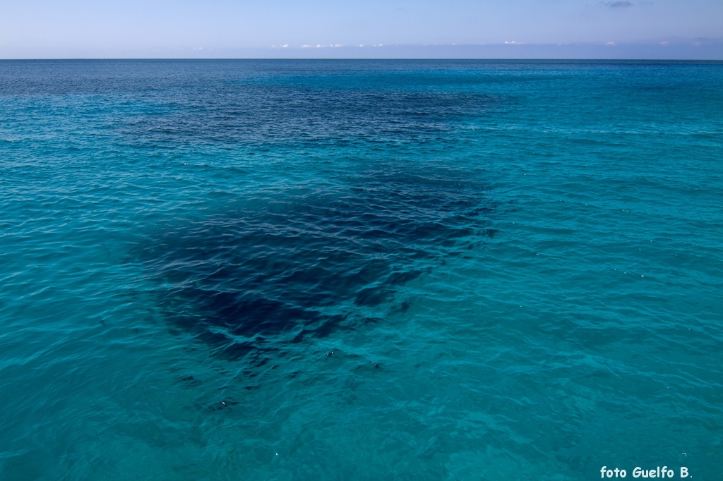 lampedusa_12-16_agosto_2012______0031