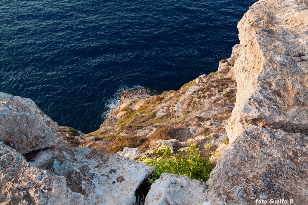 lampedusa_12-16_agosto_2012______0045