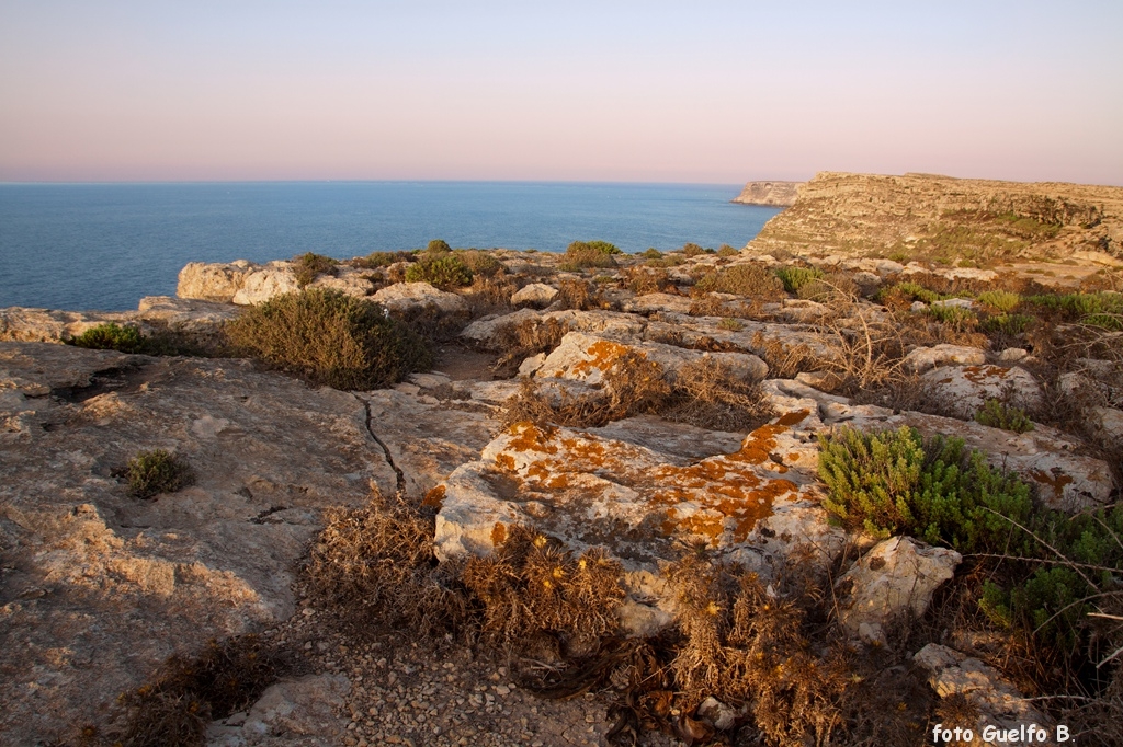 lampedusa_12-16_agosto_2012______0047