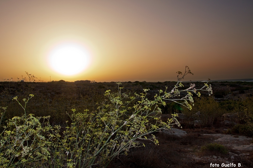 lampedusa_12-16_agosto_2012______0053