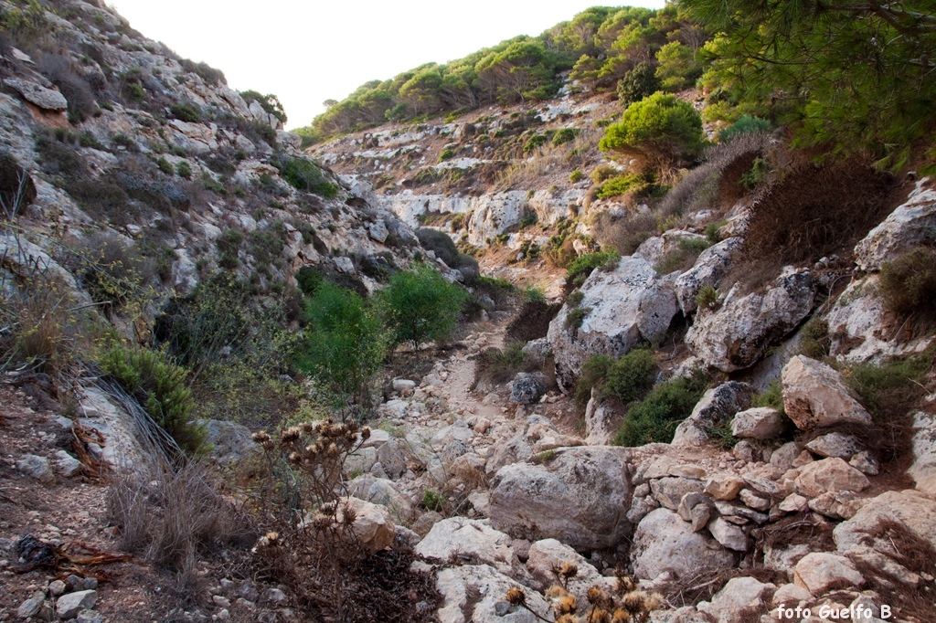 lampedusa_12-16_agosto_2012______0054