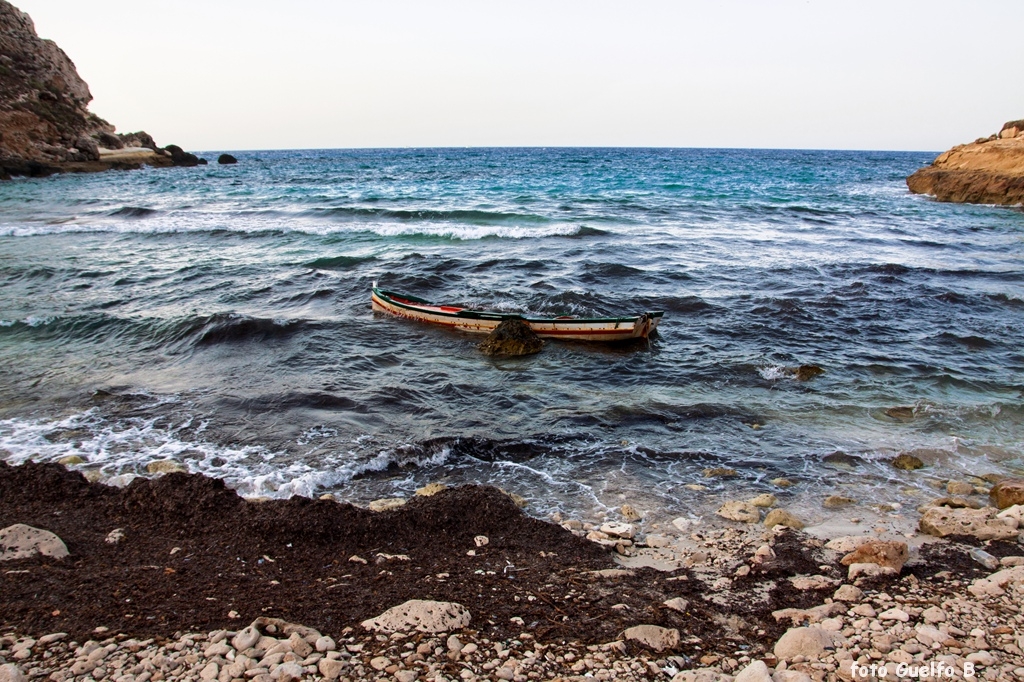 lampedusa_12-16_agosto_2012______0062