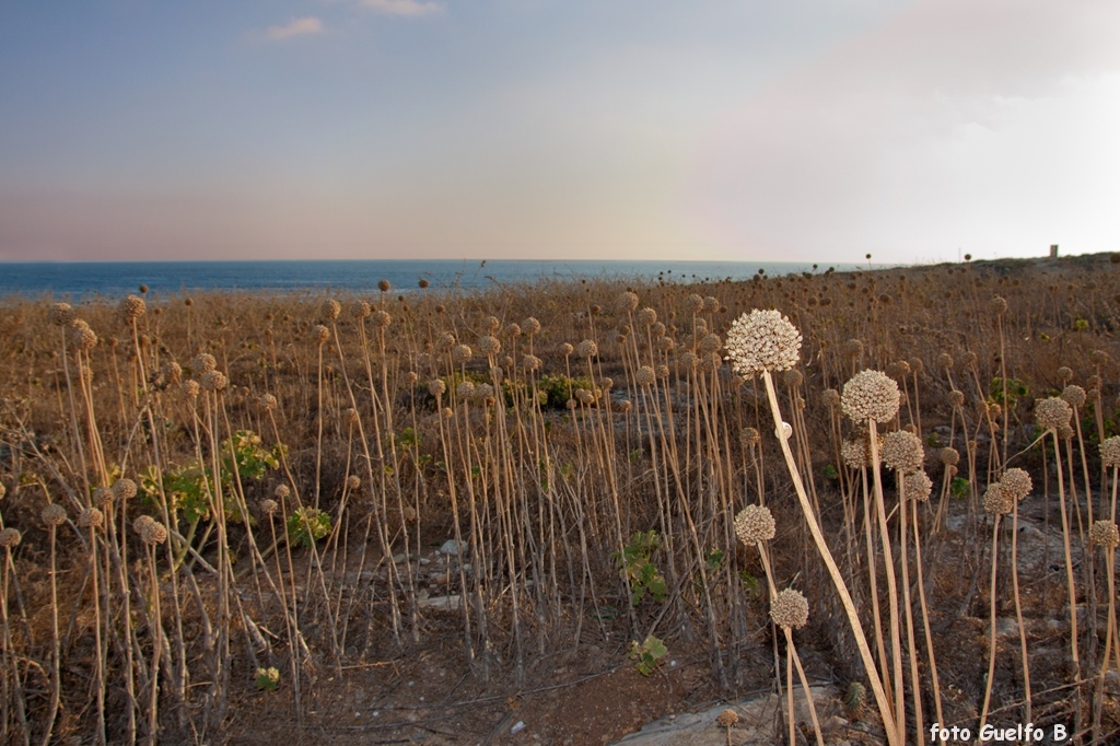 lampedusa_12-16_agosto_2012______0165