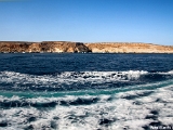 lampedusa_12-16_agosto_2012______0042