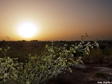 lampedusa_12-16_agosto_2012______0053